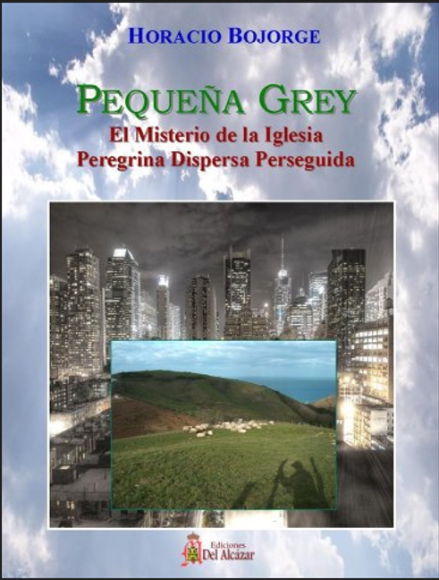 Pequeña Grey